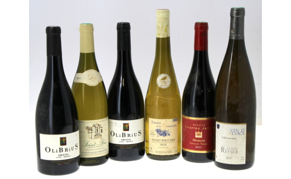Lot de 6 bouteilles de blancs et de roug