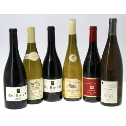 Lot de 6 bouteilles de blancs et de roug