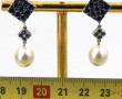 Paire de boucles d'oreilles pendantes en