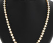 Collier de 71 perles de culture en chute