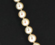 Collier de 71 perles de culture en chute