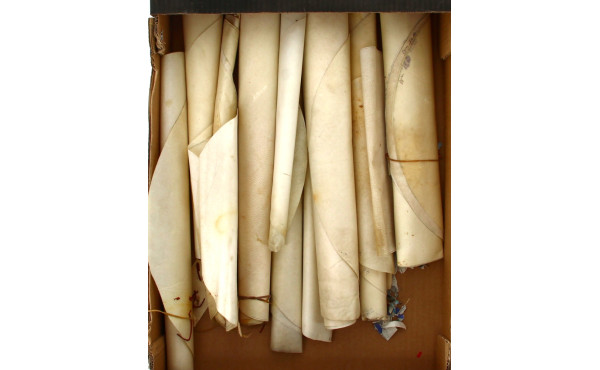Lot de parchemins vierges en rouleaux