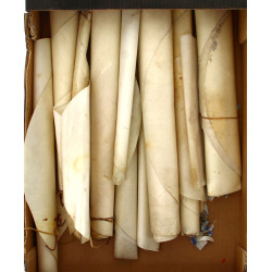 Lot de parchemins vierges en rouleaux