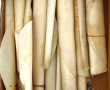 Lot de parchemins vierges en rouleaux