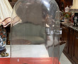 Globe en verre rectangulaire H 55 x 30 x