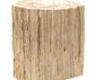 Fragment de bois pétrifié, l'extérieur l