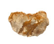 Fragment de bois pétrifié, l'extérieur l