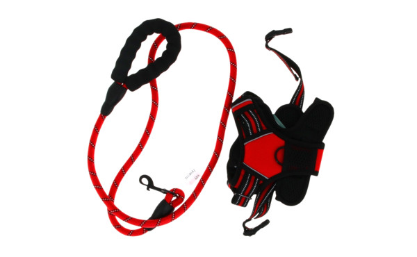 Laisse et harnais pour chien, taille M, 