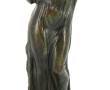 Statuette en bronze à patine brune repré