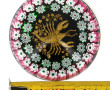Boule presse papier à décor d'un scorpio