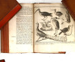 SCIENCES NATURELLES - JARDINS: 2 livres: