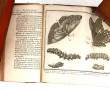 SCIENCES NATURELLES - JARDINS: 2 livres: