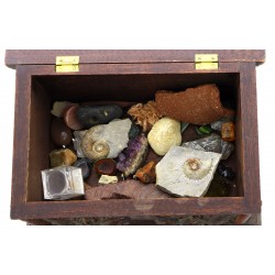 Petite collection de minéraux, fossiles,