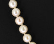 Collier shoker en perles de culture, fer