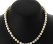 Collier shoker de 52 perles de culture, 