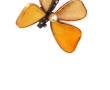 Broche papillon ancienne en or, argent, 