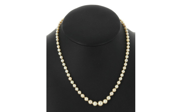 Collier de 71 perles de culture en chute