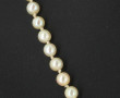 Collier de 71 perles de culture en chute