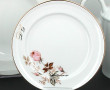 LIMOGES - Service de table en porcelaine