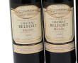 Lot de 5 bouteilles: - 2 MEDOC 2003 ch 