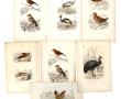 Lot de gravures anciennes la plupart reh