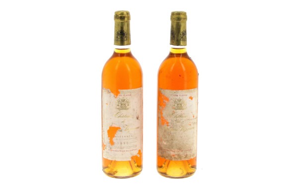 2 B Ch Rayne Vigneau 1990 1GCC Sauterne