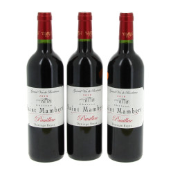 3 B PAUILLAC Ch St Mambert 2010, Domingo