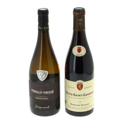 Lot de 2 bouteilles: - 1 B NUITS St GEO