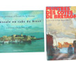 PEINTURE BRETAGNE - Lot de 2 ouvrages : 