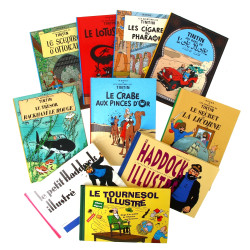 TINTIN - Lot de 7 BD petit modèle (22,5 