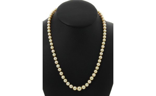 Collier de 69 perles de culture en chute