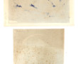 Simone HARET (1904-?) "Chat" et "Baigneu