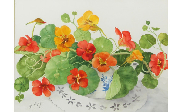 Cecil ROMEY (Xxème) "Capucines", aquarel