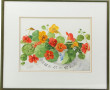 Cecil ROMEY (Xxème) "Capucines", aquarel