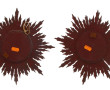 Paire de petits miroirs soleil style mir