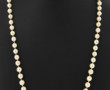 Collier de 77 perles de culture en chute