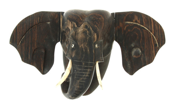 Tête d'éléphant, ébène de Macassar sculp