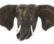 Tête d'éléphant, ébène de Macassar sculp
