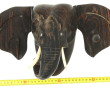 Tête d'éléphant, ébène de Macassar sculp