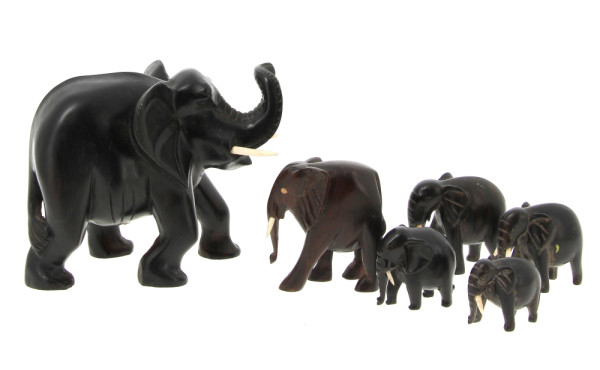 6 éléphants en bois sculpté de différent
