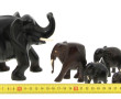 6 éléphants en bois sculpté de différent