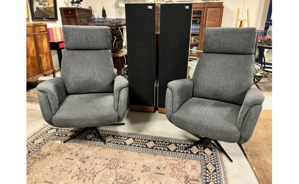 Paire de fauteuils électriques modernes 