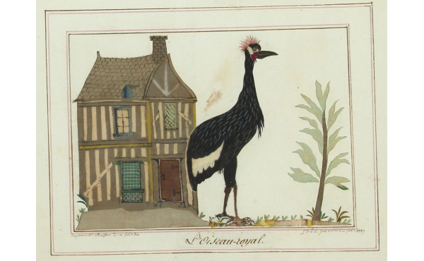 "Le Grand-Duc" et "L'Oiseau-royal", pair