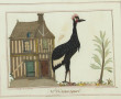 "Le Grand-Duc" et "L'Oiseau-royal", pair