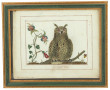 "Le Grand-Duc" et "L'Oiseau-royal", pair