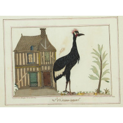 "Le Grand-Duc" et "L'Oiseau-royal", pair