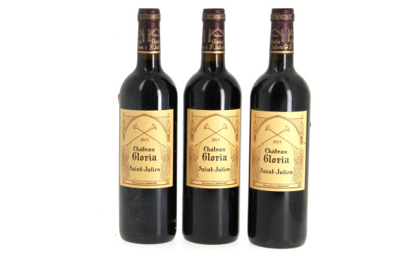 3 B Ch GLORIA 2015 St Julien