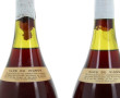 2 magnums HAUTES COTES DE NUITS 1980 Clo