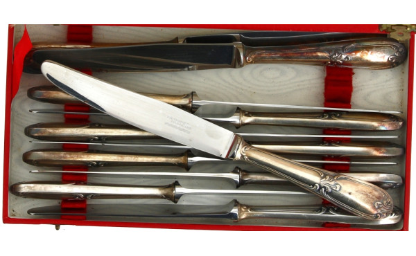 FRIONNET FRANCOIS - 12 couteaux de table