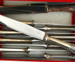 FRIONNET FRANCOIS - 12 couteaux de table